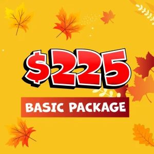 Chicago Fall Craft & Vendor Market Yorktown Center General Vendor Package $225