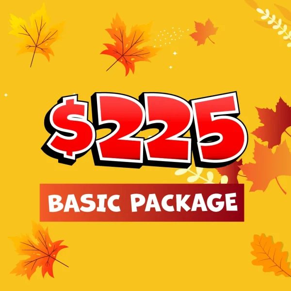 Chicago Fall Craft & Vendor Market Yorktown Center General Vendor Package $225