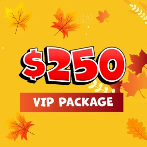 Chicago Fall Craft & Vendor Market Gurnee Mills General Vendor Package $225