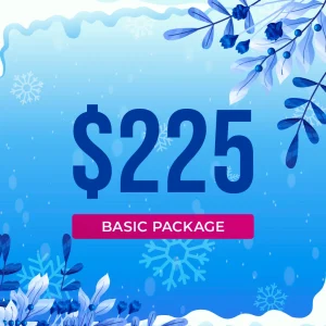 Chicago Winter Wonderland Craft & Vendor Market Yorktown Center General Vendor Package $225