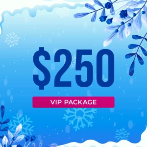 Chicago Winter Wonderland Craft & Vendor Market Gurnee Mills General Vendor Package $250